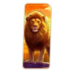 Lion
Safari